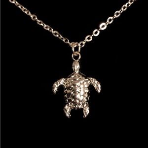 Silver Turtle Charm Necklace with Reptile Design